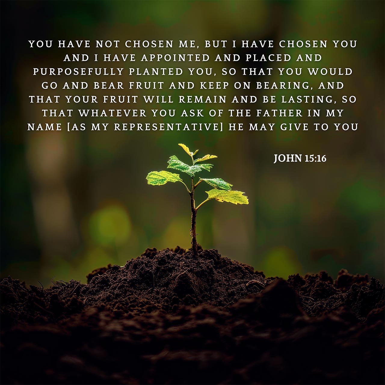 John 15:16
I have chosen you and I have appointed and placed and purposefully planted you