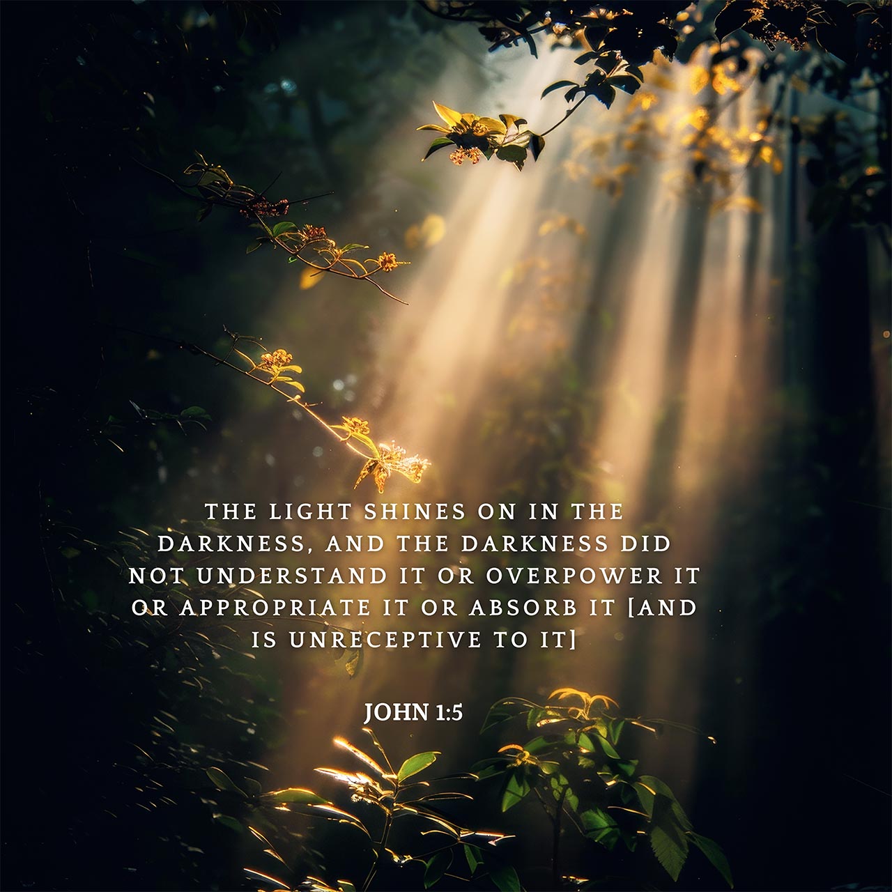 John 1:5
The Light shines on in the darkness